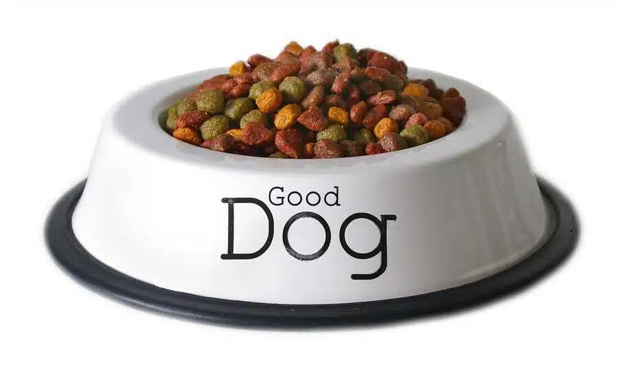 Pet food quello che c’è da sapere 2 Pet food quello che c’è da sapere 1