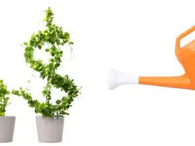 Risparmi: dove investire? 1 {CAPTION}